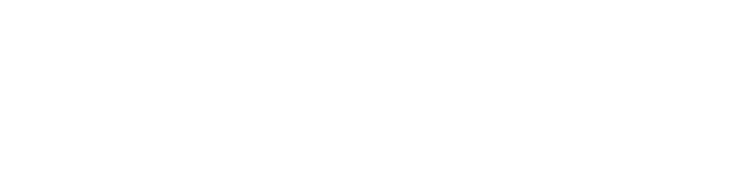 Цифровой директор по капиталу